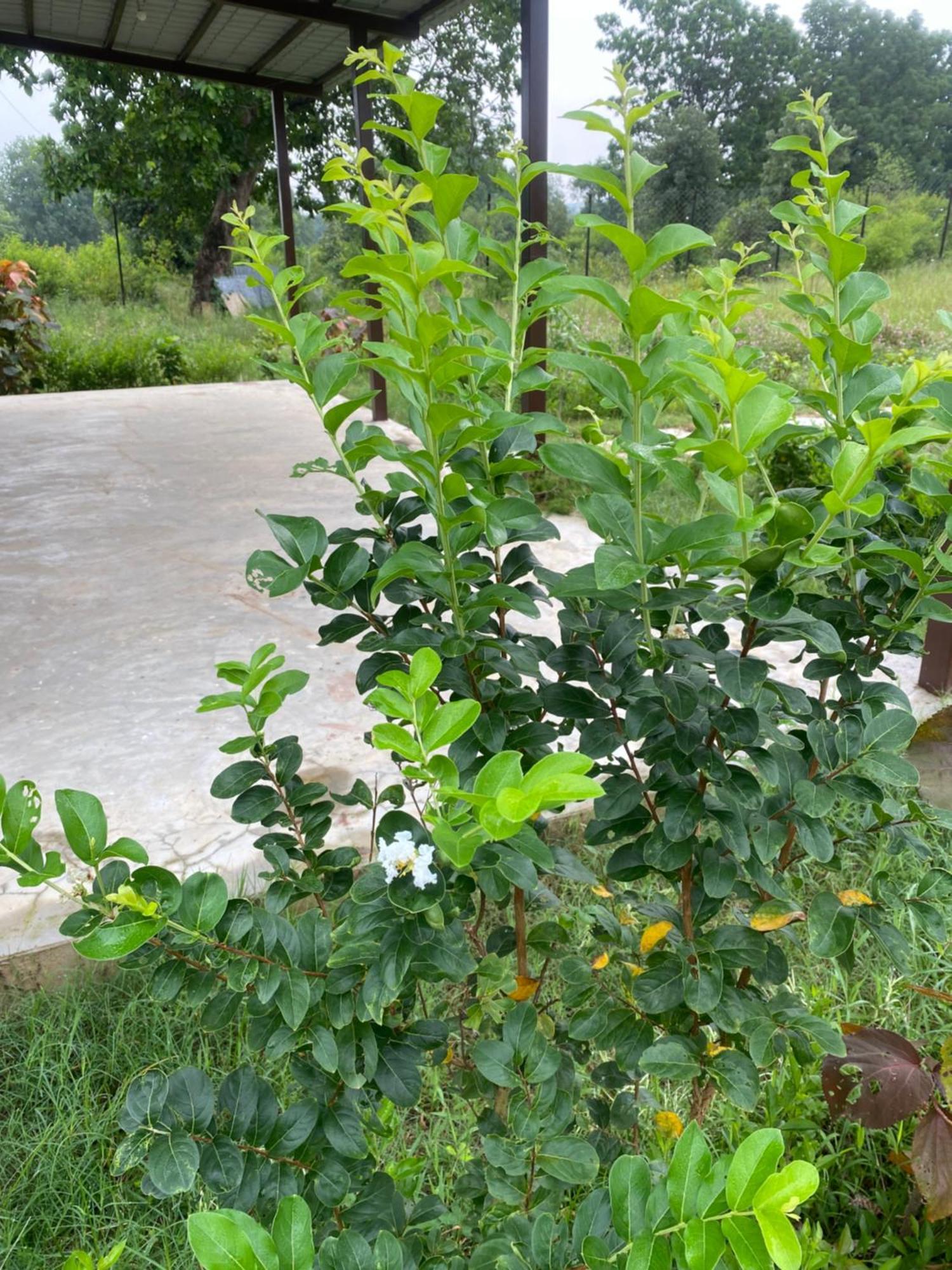 Wildlife Retreat Otel Tāla Dış mekan fotoğraf